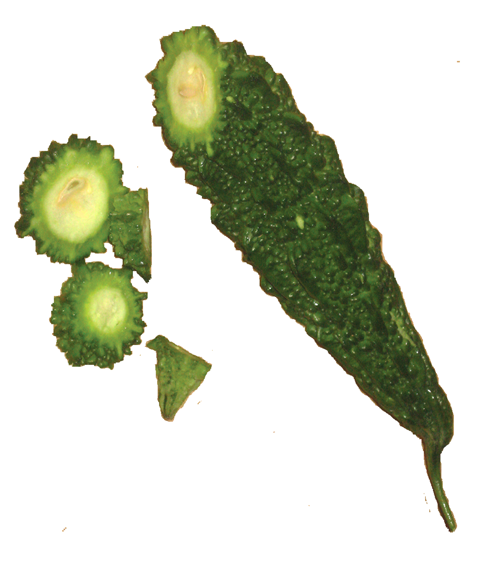 BITTER GOURD IN TANGY SAUCE / Paharkai Pitlai » Reciprocal Recipes